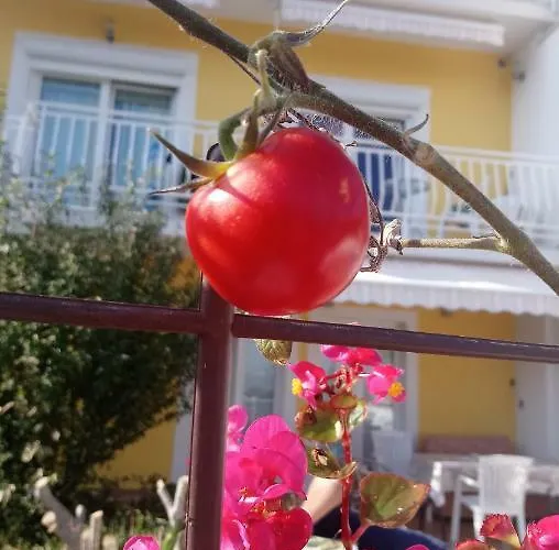 Bonavista شقة أوباتيا